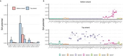 Characterization of DNA G-Quadruplex Structures in Human Immunoglobulin Heavy Variable (IGHV) Genes